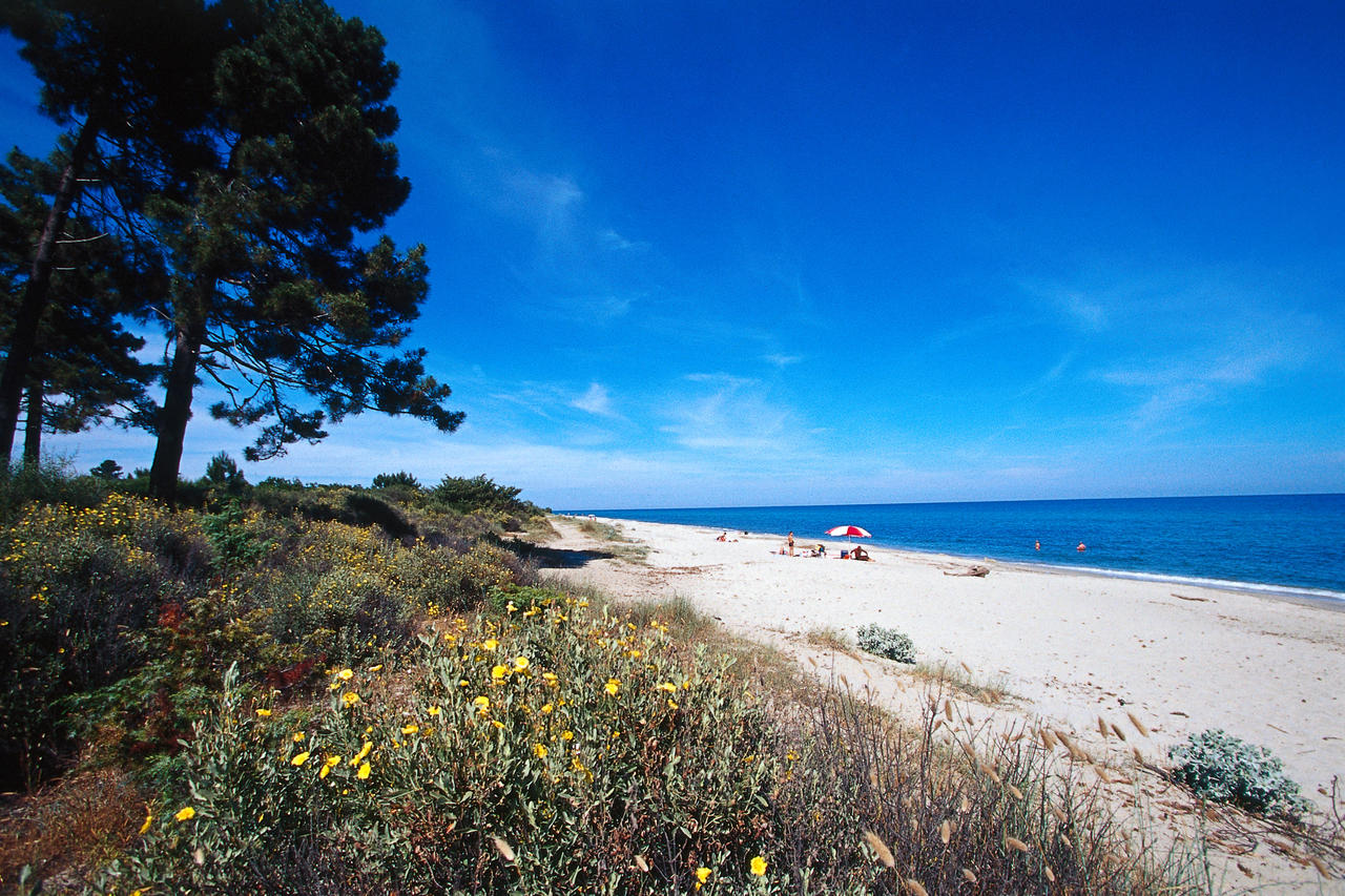 Plage de Pinia à Ghisonaccia proche du domaine Casa di l'Onda