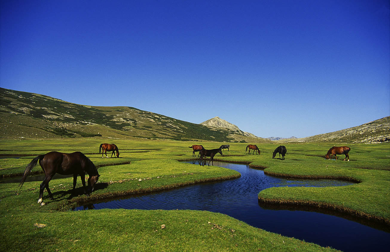 Casa di l'onda sport et randonnée en montagne pour découvrir des lacs